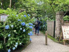 【北鎌倉　明月院】
　仕事のなかった平日のある日　池袋で北鎌倉まで乗り換えなしで行ける湘南新宿ラインの電車を見つけ、天気も良く鎌倉までふと行ってみようと思いました。