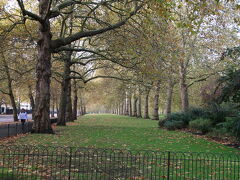 ウェストミンスター寺院からバッキンガム宮殿に向かう間に、セントジェームズパークという大きな公園がある。
ロンドンの11月は、落ち葉が多くてもう冬の気配？