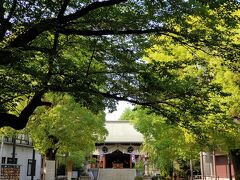 こちらは亀戸香取神社、
スポーツの神様。参道の紫陽花が好きなのです、