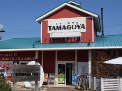 今回は相方と仕事の都合が合ったので、朝からお出かけ

お昼は静岡県三島市にある、たまご専門店 TAMAGOYAさんでいただきましょう～
