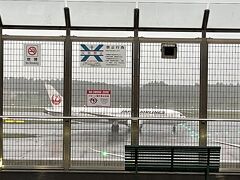 ＜成田空港第１ターミナル＞

いつもＪＡＬを利用しているので第２ターミナルがほとんど。
第１ターミナルにはあまり来ません。

最近ピーチ利用で来ていますが、
展望デッキに出た記憶もないので出てみると
ＪＡＬが通り過ぎていきました。

私の海外旅行再開は今年12月ホノルルマラソンを予定！
早く行きたいわ！