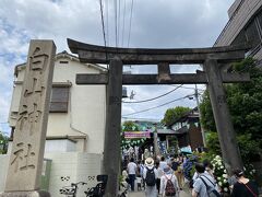 本駒込駅から5～6分で白山神社に着きます。
すでに多くの人があじさいを見に来ています。