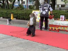 トンデミを出て、ヴェルニー公園へ。ちょうど猿回しをやっていたので観覧。おさるのりくくんがとっても芸達者。