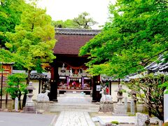 さらに東海道を歩いていくと立木神社[https://tatikijinja.net/]があります。
由緒書によれば鹿島神宮と関係があるそうで、狛犬ではなく鹿が迎えてくれます。