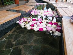 帰りがけ湯田中温泉の足湯に入ってきました。
熱めの湯の花が浮かぶ温泉。
シャクナゲがたくさん浮いていました。
いいかおりです。
