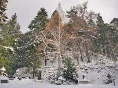 白虎隊十九士の墓。
観光地に来ると改めて歴史を学ぶ。