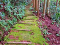 適当に周辺のこの道を歩いていると聞きなれぬコロコロコロという鳴き声のカエルの大合唱が聞こえて来て心地よかったですが、なんというカエルだったのだろう？