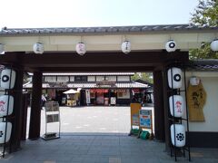 熊本城 桜の馬場 桜の小路