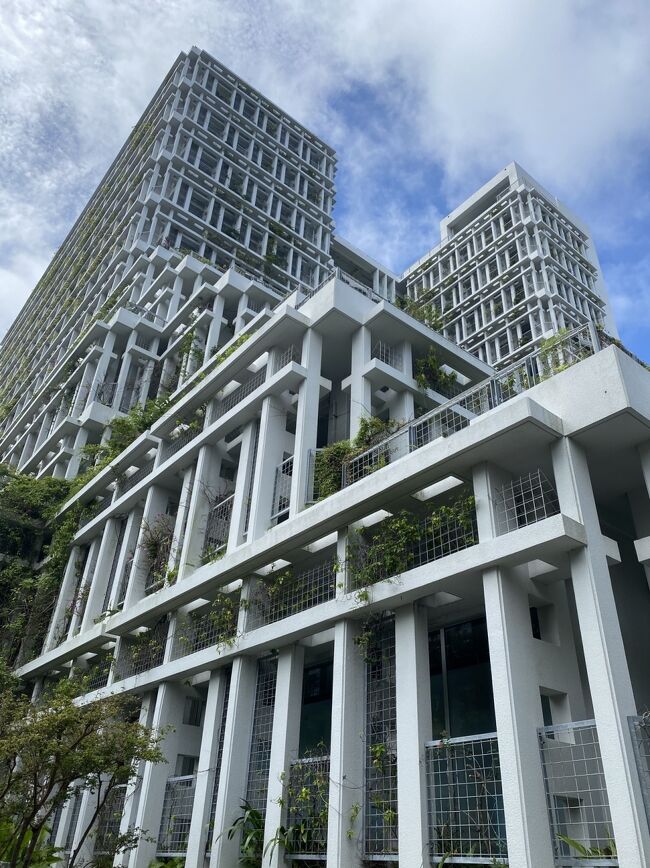 <br /><br />市役所からは、モノレールを使って移動。<br /><br />この日の移動はモノレールを<br />使うことが多い予定だってので、<br />２４時間使えるフリーパスを<br />購入しました^ ^