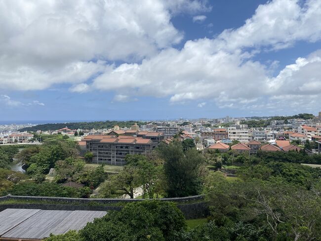 首里城公園をゆっくりお散歩したら、<br />ランチタイムに。<br /><br />「首里うかじ うかじそば首里城前店」様で<br />ジューシーand三枚肉そばを頂きました！