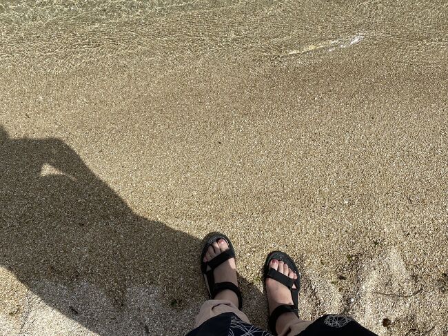 <br />そのまままた徒歩で県庁の方まで。<br /><br />そこにどうしても見たかった建物が<br />あるのです。<br /><br />それがこちら！