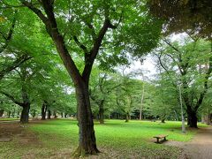 隣接されている大宮公園はとても広大