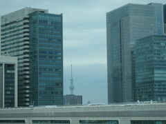 遠くにスカイツリーも見えました。
お天気は生憎の曇り空ですが雨は降らなくて良かったです。