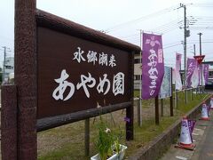 水郷潮来あやめ園