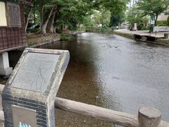 白滝公園を抜けると、桜川が見えました。
桜川沿いに三島大社を目指します。