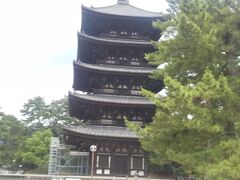 興福寺の五重塔です。
昨年秋の御開帳時には中も（一階部分だけやけど）見せてもらえたねーとか、思い出します。