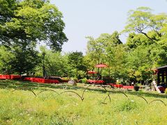 ねねの道を進んでいくと、円山公園内へ。
さっきまで清水寺界隈はすごい人口密度だったが、皆さん、こちらなら空いてまっせ。