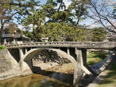 ●夙川さくら公園＠阪急/夙川駅界隈

桜の木も多いのですが、松の木もとっても多いです。
松の木と桜のコラボが見られるのもこの公園の特徴です。