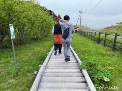 「レブンアツモリソウ群生地」に到着。
木の遊歩道を歩いていきます。