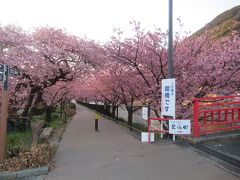 館橋（朝の散歩）