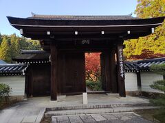 西芳寺（苔寺）