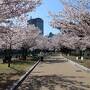 桜満開の中、広島の2つの世界遺産を船で巡る