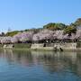 桜満開の中、広島の2つの世界遺産を船で巡る