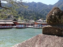 満潮のため厳島神社は海の上に浮かんでいます。