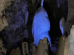 お昼くらいに沖縄についたので、ウミカジテラスでご飯を食べておきなわワールドに行きました。