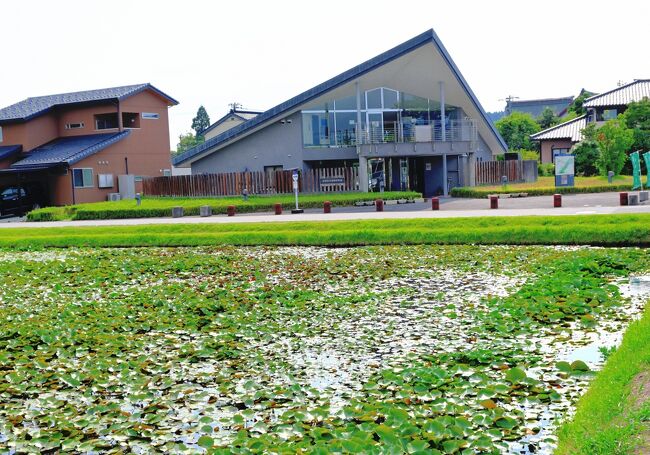五箇山と富山の城めぐり 富山県の旅行記 ブログ By yf二人旅さん フォートラベル 五箇山と富山の城めぐり 富山県の旅行記 ブログ By yf二人旅さん フォートラベル