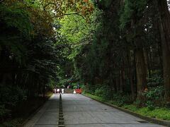 瑞鳳寺前から延びる坂を上っていくと、空を覆ってしまうほど大きな木々が並ぶ石畳の道に切り替わり、山の中にあるため少し肌寒く、厳かな雰囲気に包まれていた。