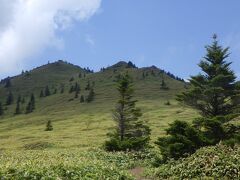 下って来た根子岳を振り返ると、初夏の爽やかな光景が広がる。
