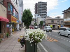 三島大通り商店街をまっすぐに進みます。
道沿いには手入れされた綺麗な花が随所に