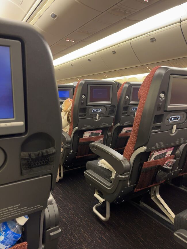 前も後ろも横もガラガラでしたので、CAさんに前後でお席を使わせて頂いても良いかと確認して、1人2席使用させて頂きました。<br /><br />機内で横になるってこんなに快適だったのか！！<br /><br />私たちは2人とも150センチ位と小柄なので2席でちょっと足を曲げれば寝れちゃいました。