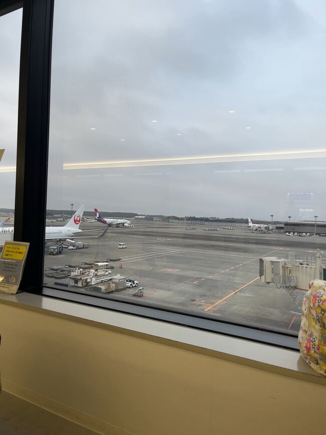 その他、<br />1、航空券はJALで購入（羽田便は高すぎて買えなかった、）<br />2、ホテルはモアナサーフライダー公式から予約<br />3、チャーリーズタクシーの予約（往復）<br />4、レストランの予約<br />5、免税品の予約<br />6、コロナ保険に加入（たびとも）<br />