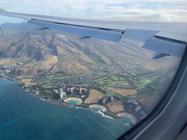 コオリナが綺麗に見えます
