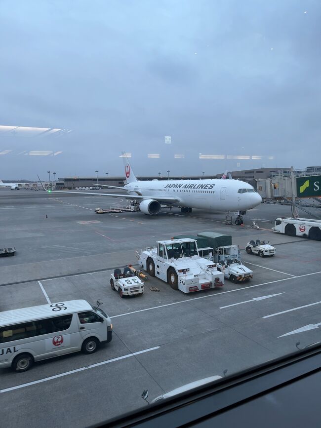 旅行当日の動き<br />1、レンタカーを取りに行き自宅車庫へ<br />2、PCR検査<br /><br />前日に木下PCRセンターのPCR検査を受けようと予約してありましたが、翌日の出発までに検査結果が出るか不安だったので、当日の抗原定性検査に変更しました。<br /><br />30分で結果がスマホに送られてきます。<br />こちらにして正解でした。<br /><br />結果は自宅でコピーしてパスポート番号等は自分で備考欄に記載しました。<br /><br />心配だったので、空港には4時間前到着予定で自宅を後に。<br /><br />レンタカーはトヨタレンタカーでお借りして、成田空港店のトヨタレンタカーに返却。<br />空港送迎は無料でしてくれました。<br /><br />私たちだけの為にバスを動かして下さって感謝しております！！