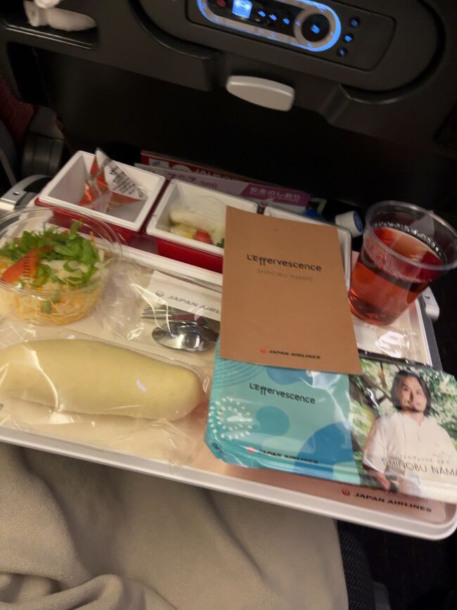 機内食をこんなに食べたのは初めて！<br /><br />いつもは空港でお食事してお腹いっぱいで乗るからなぁ<br /><br />皆さま、軽食やお菓子持参した方が良いですよ、、<br /><br />私が食べすぎなのかも知れませんが