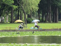 県営みさと公園（埼玉県三郷市）

小合溜の対岸は埼玉で、県営みさと公園です。
のんびりと釣りをする人たちがいました。