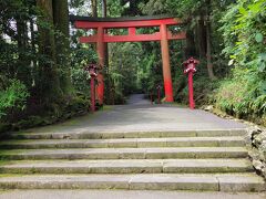 小田原駅から伊豆箱根バスで元箱根まで来ました。杉並木の参道は厳かな雰囲気。芦ノ湖は何回も訪れていますが箱根神社は初めて。これは第3鳥居