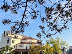 ４月１２日（火）

久しぶりの宝塚の地！

花のみちの桜はだいぶ散っています。。。