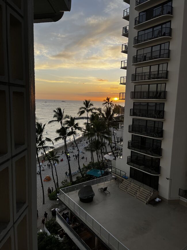 この日はアラモアナにちょこっとお買い物の下見していって、フードコート横のポケ丼を購入して帰宅したのですが、写真がない！！<br /><br />お部屋で2人仲良くポケ丼をシェアしました。<br /><br />今回はほぼtogoする！と思って、紙皿やフォークスプーン、まな板にナイフも持参して行きました。<br /><br />夜になるとノーマスクでアルコールも入ったウェーイな海外の方がお店には溢れますからね<br /><br />帰国出来なくなったら怖いしね