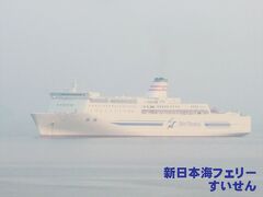 新日本海フェリー/敦賀-苫小牧航路に就航する「すいせん」が、日本海からはるばる応援に駆けつけてくれました。
はまゆう・それいゆが入渠中は、代船として東京九州フェリー/横須賀-航路に臨時就航します。