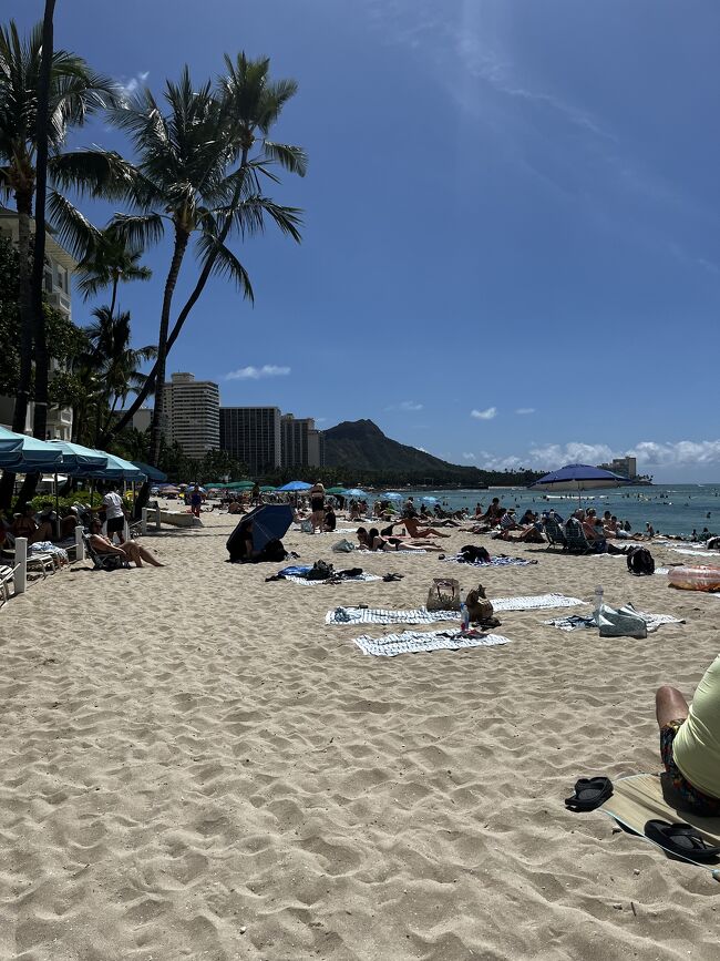 この人の多さ、わかりますか？<br />ノーマスクでこんな密な所に行く勇気はなかったです。