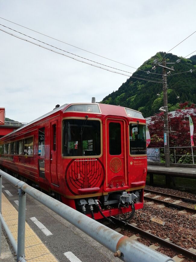 四国まんなか千年ものがたり日帰り乗車記 2021年5月』祖谷渓