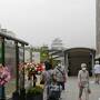 大荒れ天気の箱根　フリーパスで登山鉄道乗り尽くし