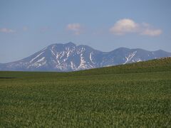 十勝岳連峰最西端の山、オプタテシケ山も雪が溶けて冬の険しい顔から春の穏やかな顔に変わってきています。