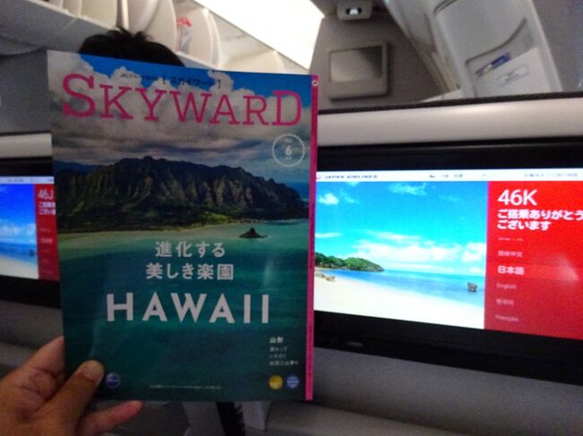 スカイワードの特集は「ハワイ」