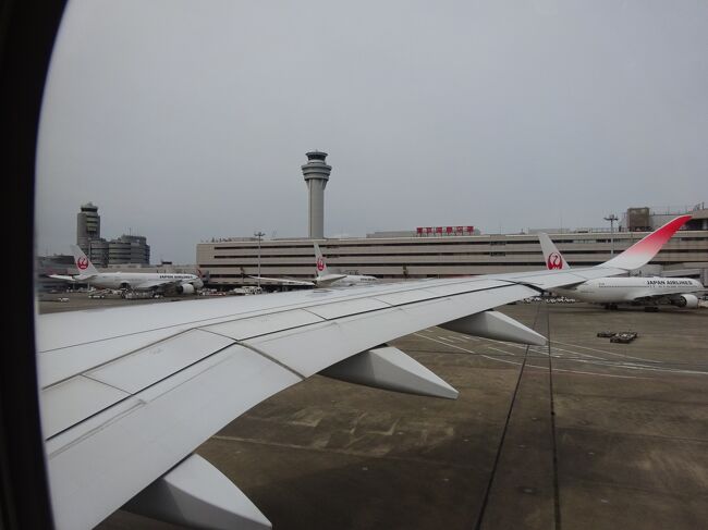 曇り空の羽田空港を出発