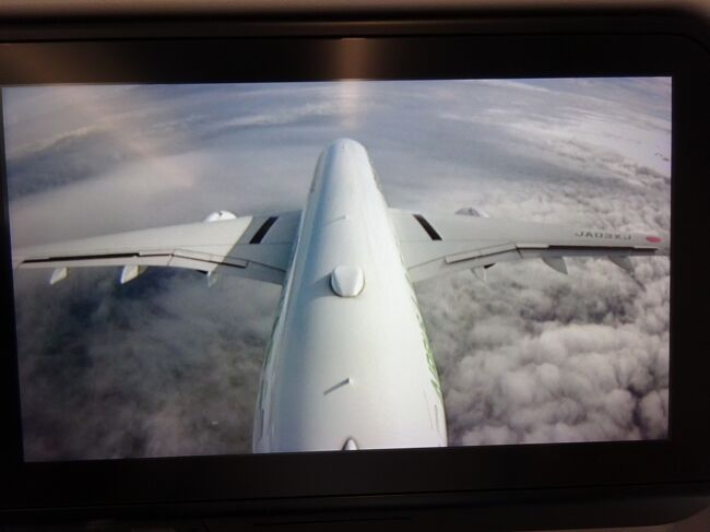 機体の下は厚い雲